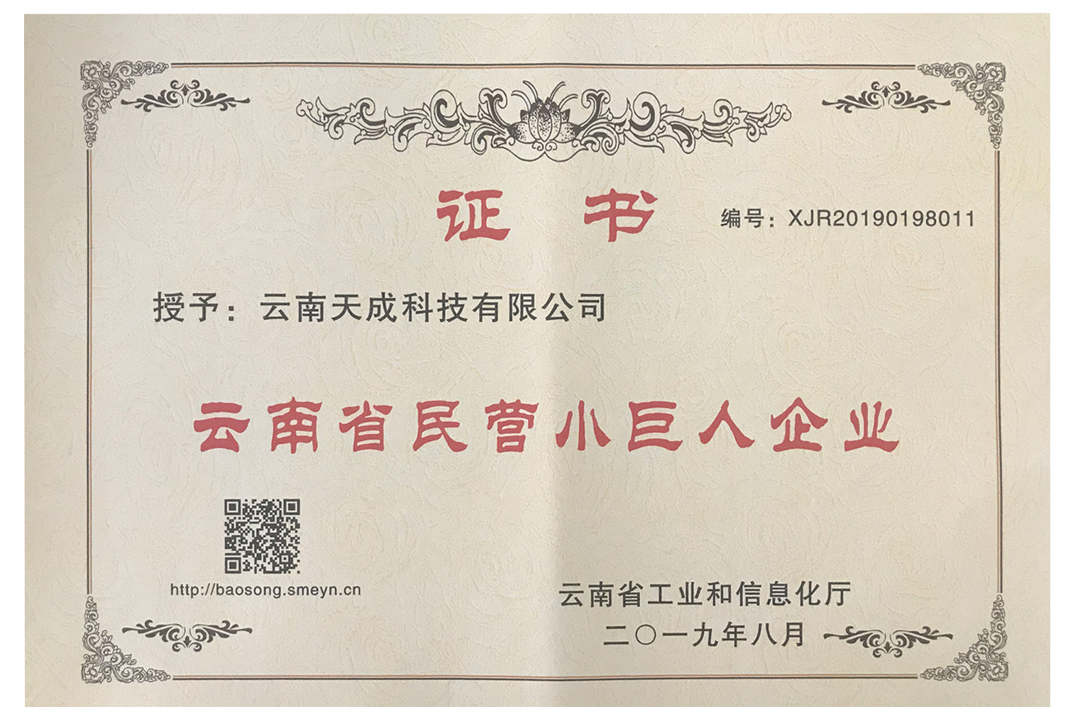 云南省民营小巨人企业